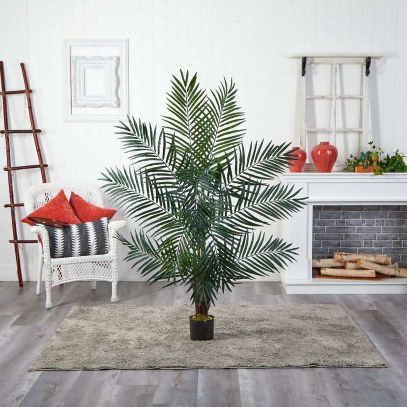 5 Areca Palm Tree