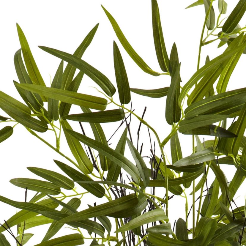 4 Black Bamboo Tree