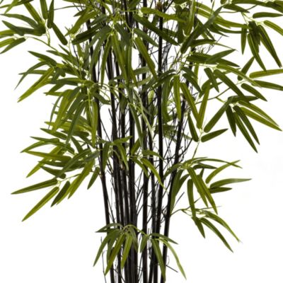 4' Black Bamboo Tree