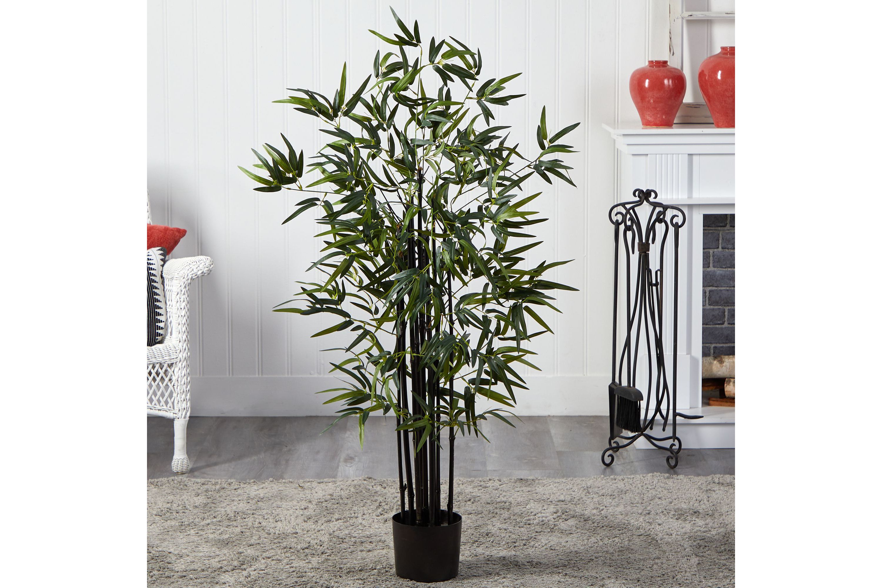 4 Black Bamboo Tree