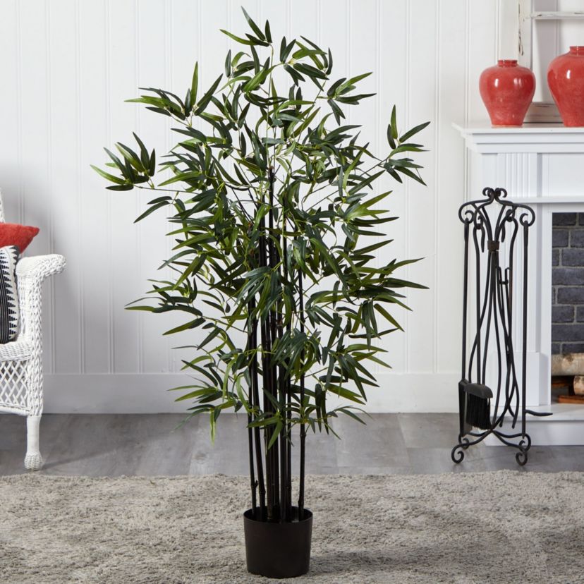 4 Black Bamboo Tree