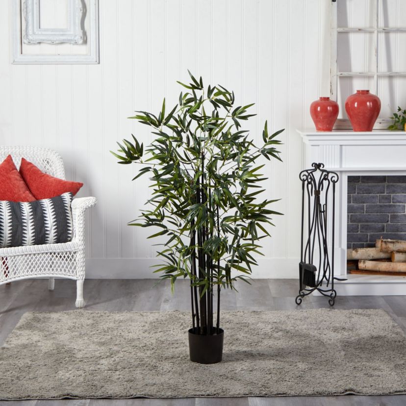 4 Black Bamboo Tree