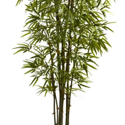 Green Bamboo Tree