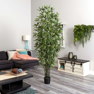 Green Bamboo Tree