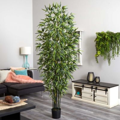 Green Bamboo Tree