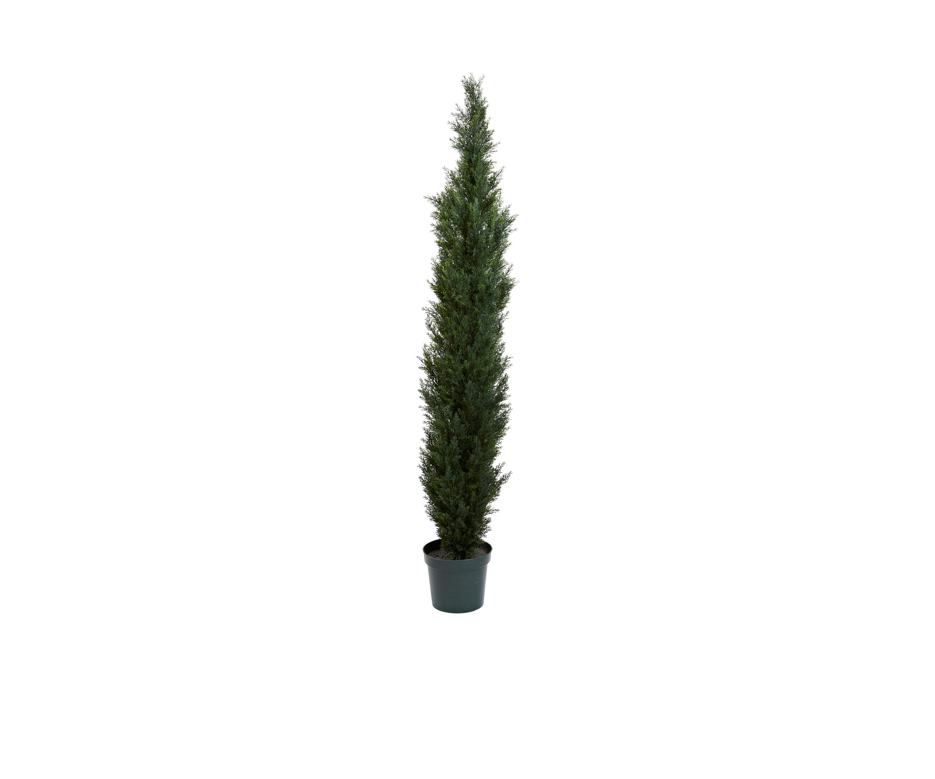 7-Foot Mini Cedar Pine Tree with 3614 Tips in 12 Pot -Two Tone Green