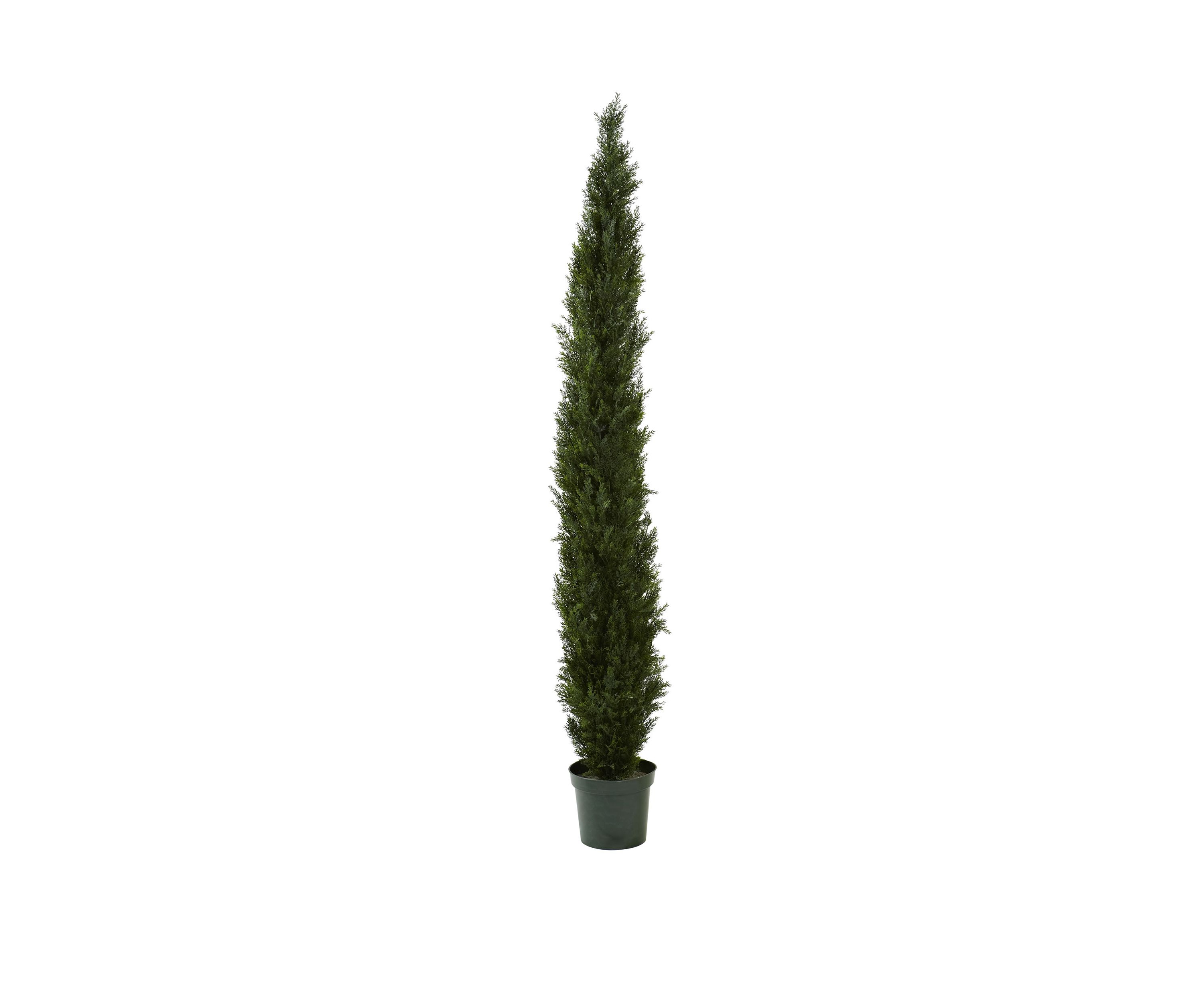 8 ft Mini Cedar Pine Tree with 4249 tips in 12 in Pot (Two Tone Green)