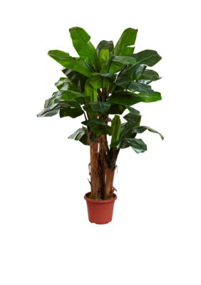 Nearly Natural 7-Foot Giant Triple Stalk Banana Tree UV Resistant -Indoor/Outdoor, Green