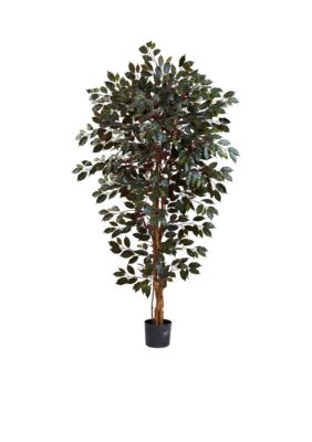 Nearly Natural 6-Foot Capensia Ficus Tree, Green