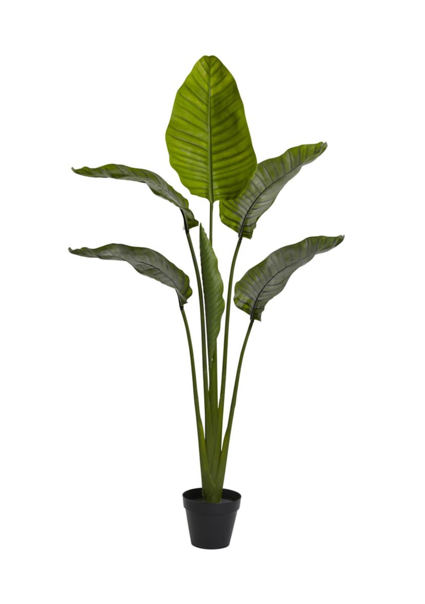 60-Inch Travelers Palm Tree UV Resistant (Indoor/Outdoor)