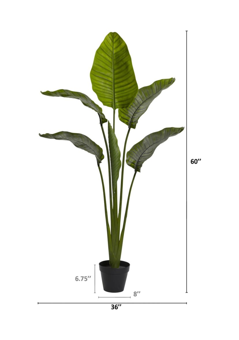 60-Inch Travelers Palm Tree UV Resistant (Indoor/Outdoor)