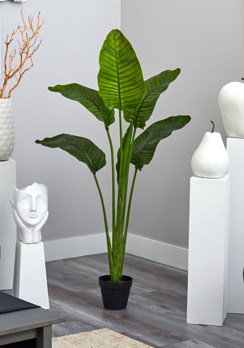 60-Inch Travelers Palm Tree UV Resistant (Indoor/Outdoor)