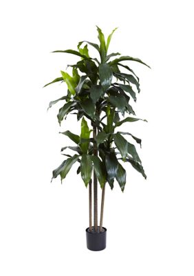 Nearly Natural Dracaena Plant Indoor/Outdoor, Green