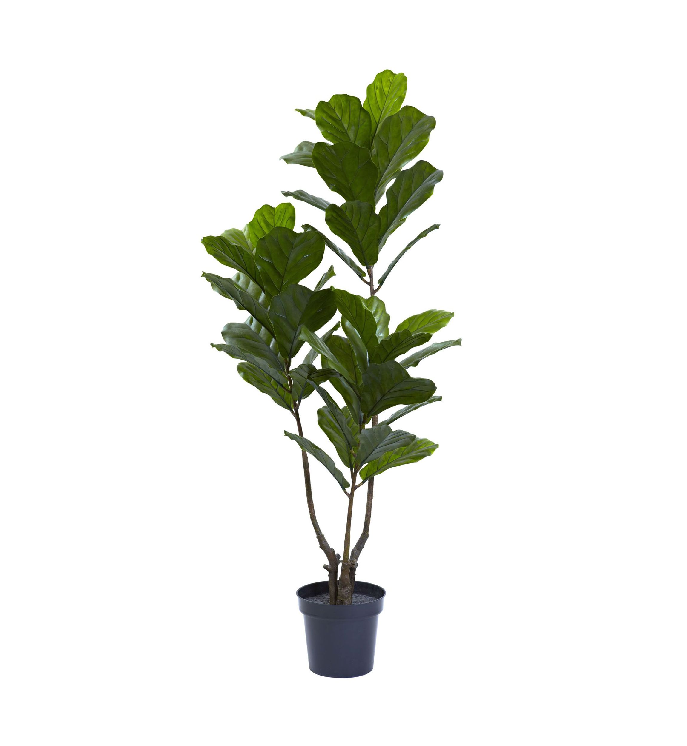 65-Inch Fiddle Leaf Tree UV Resistant (Indoor/Outdoor)