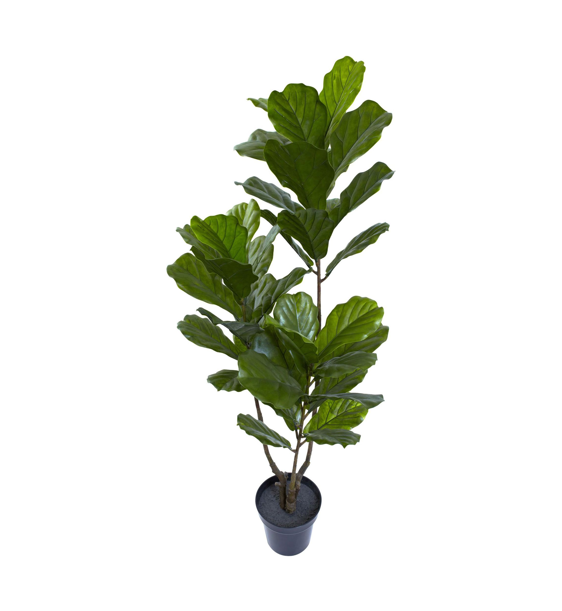 65-Inch Fiddle Leaf Tree UV Resistant (Indoor/Outdoor)