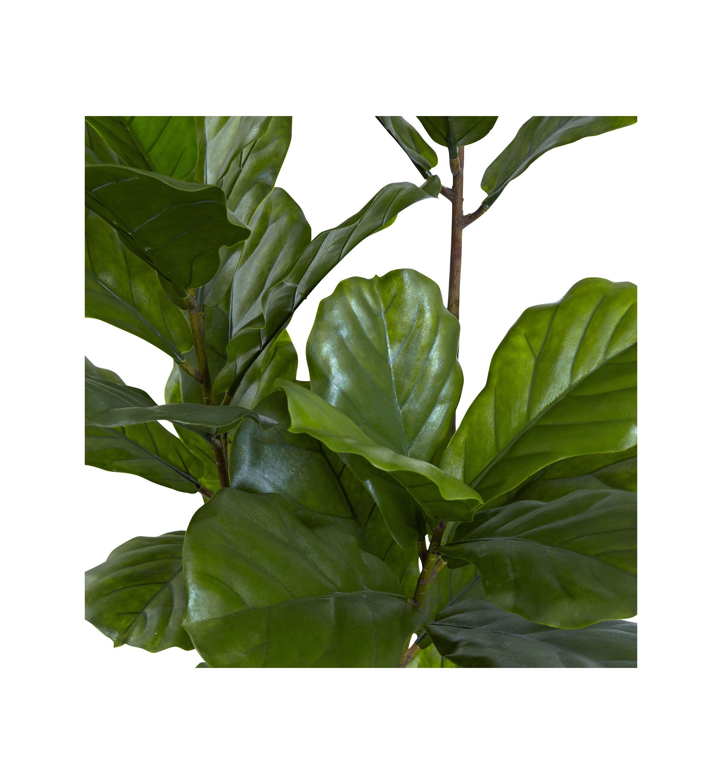 65-Inch Fiddle Leaf Tree UV Resistant (Indoor/Outdoor)