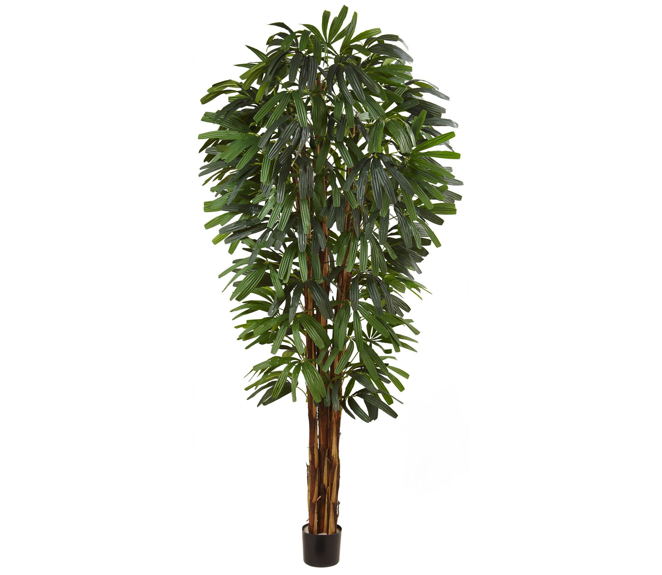 84-Inch Raphis Silk Palm Tree