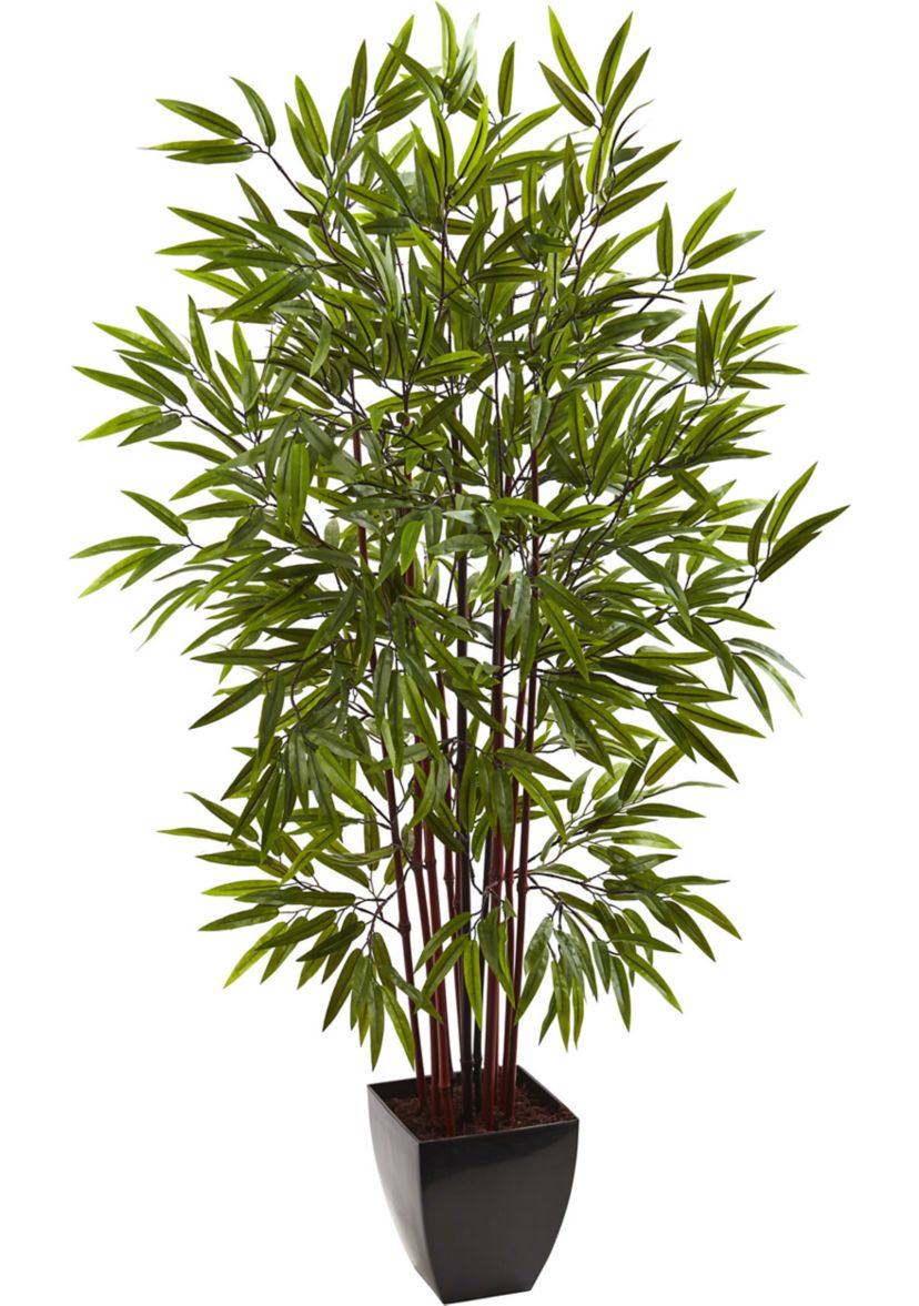 Bamboo Silk Tree with Planter