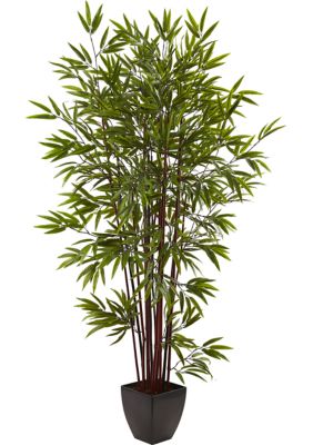 Bamboo Silk Tree with Planter