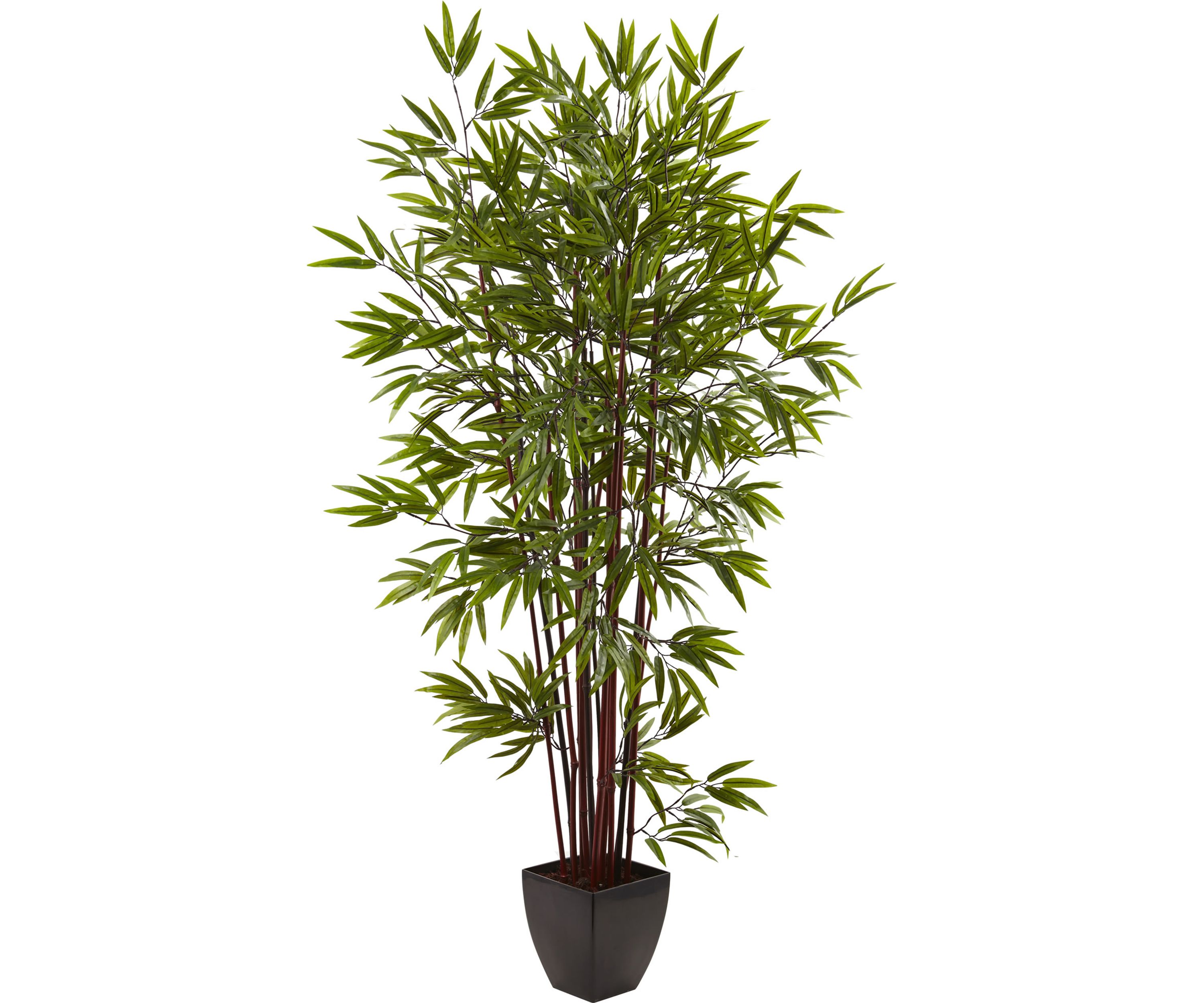 Bamboo Silk Tree with Planter