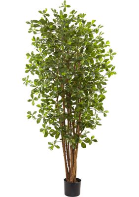 Nearly Natural Black Olive Silk Tree, Green