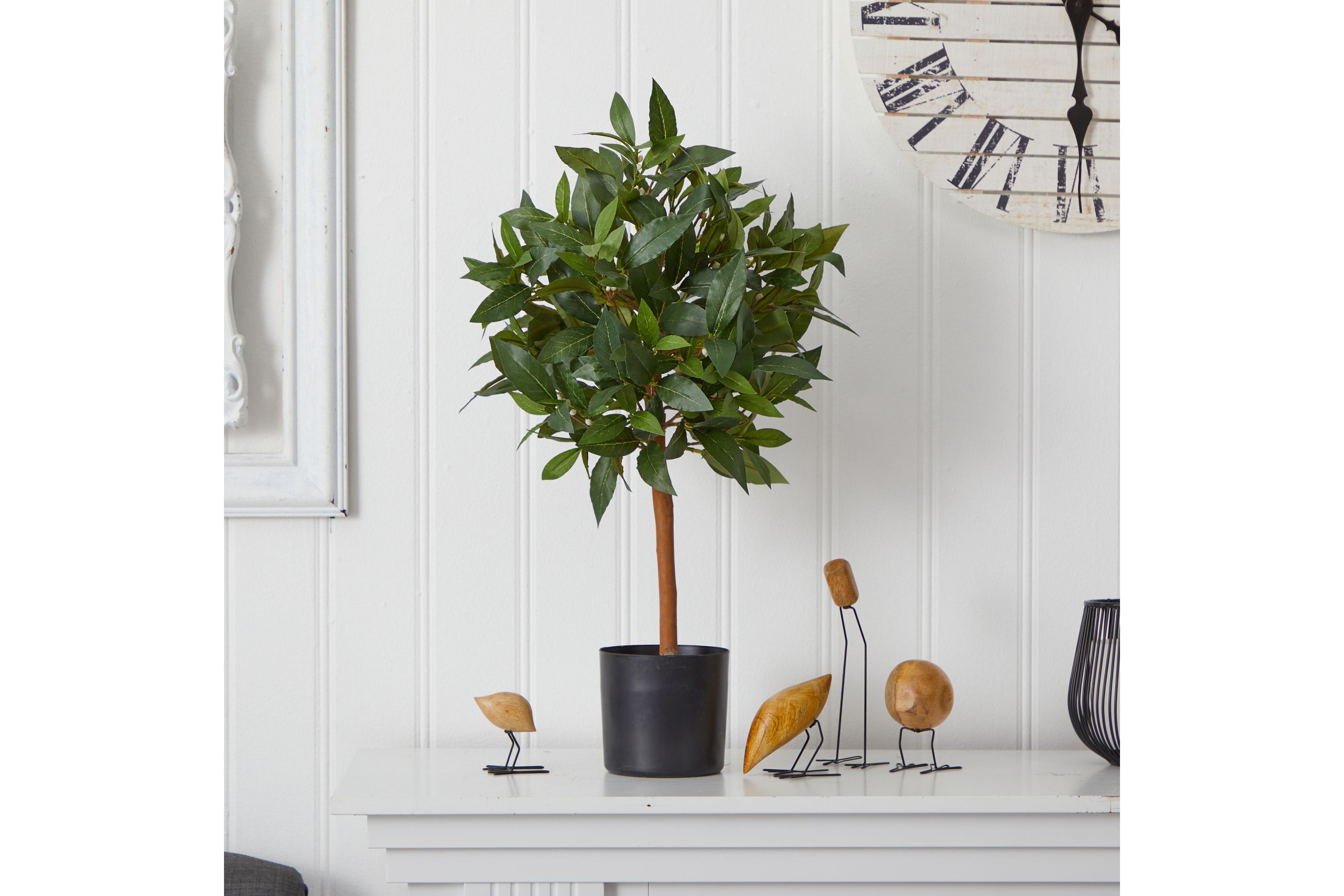 2-Foot Sweet Bay Mini Ball Topiary