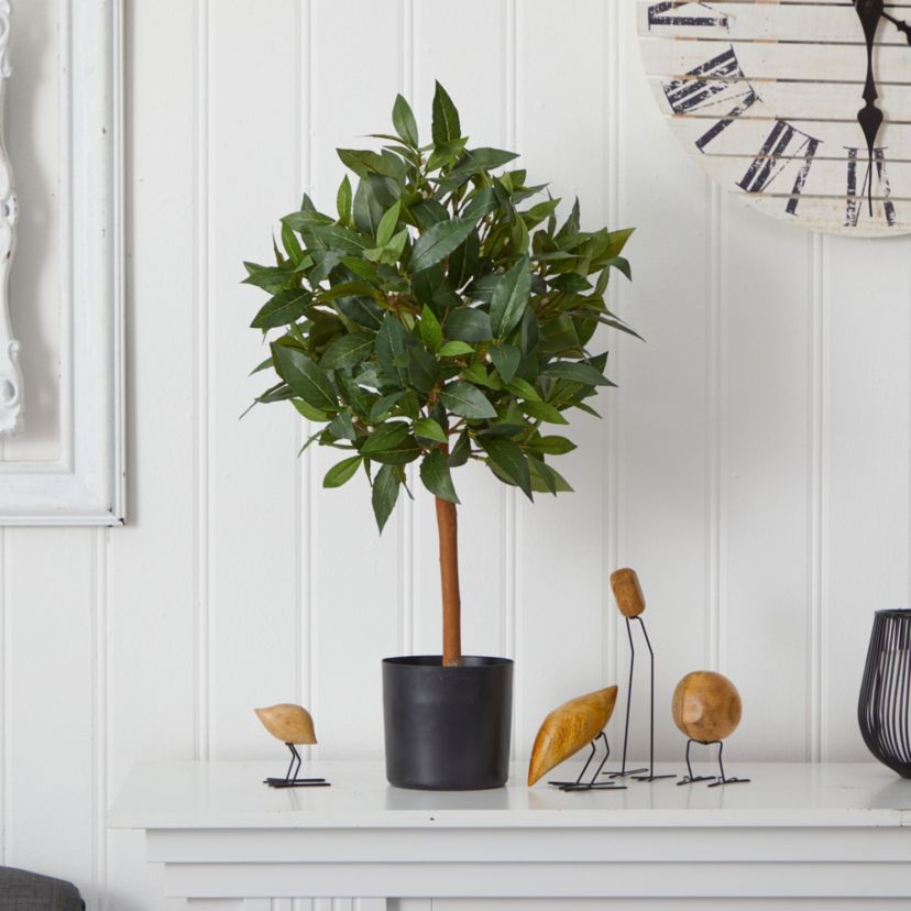 2-Foot Sweet Bay Mini Ball Topiary