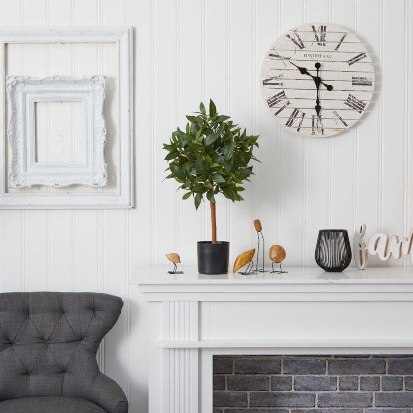 2-Foot Sweet Bay Mini Ball Topiary