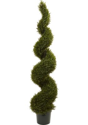 Rosemary Spiral Tree Indoor/Outdoor