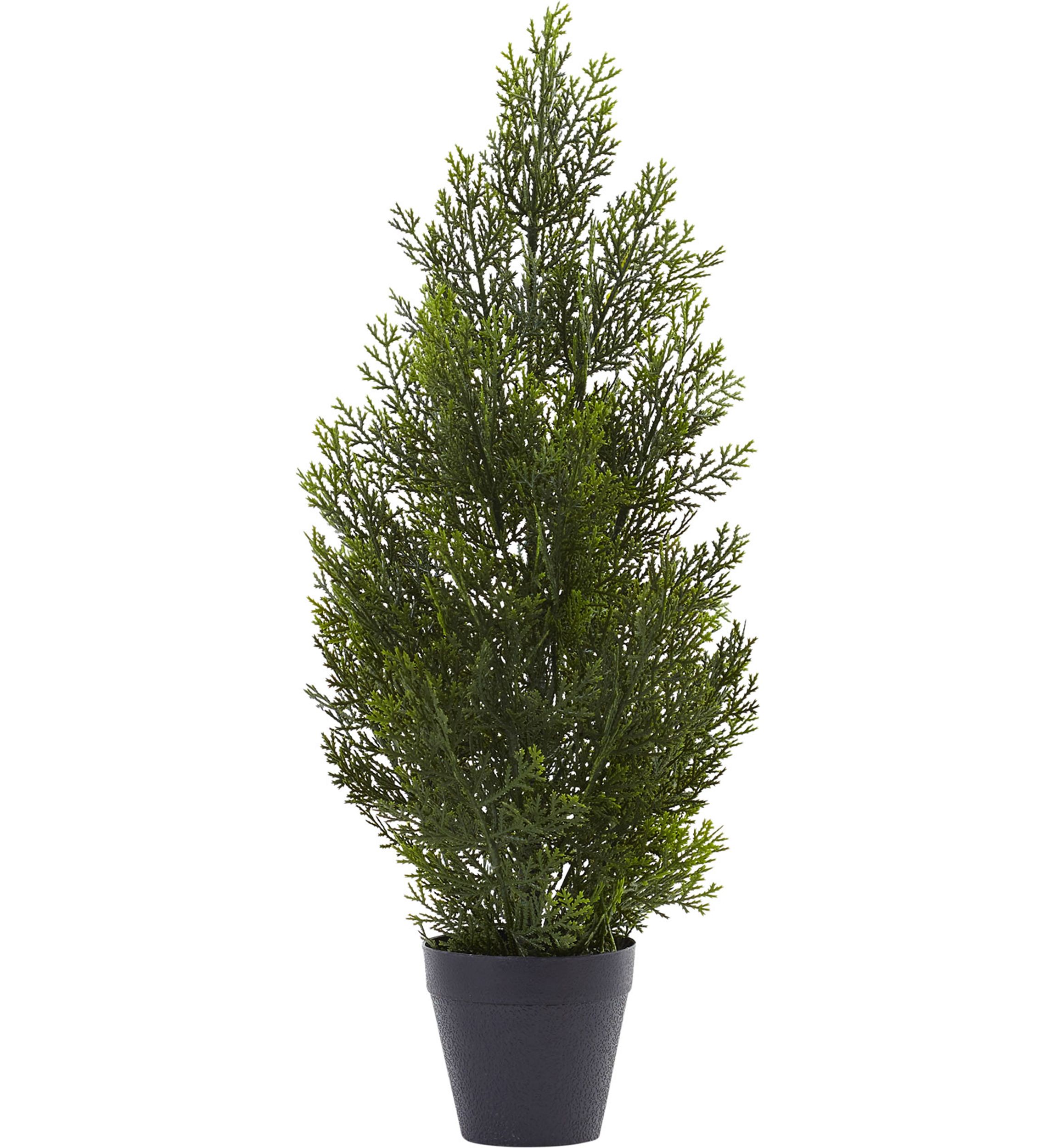 Mini Cedar Pine Tree Indoor/Outdoor