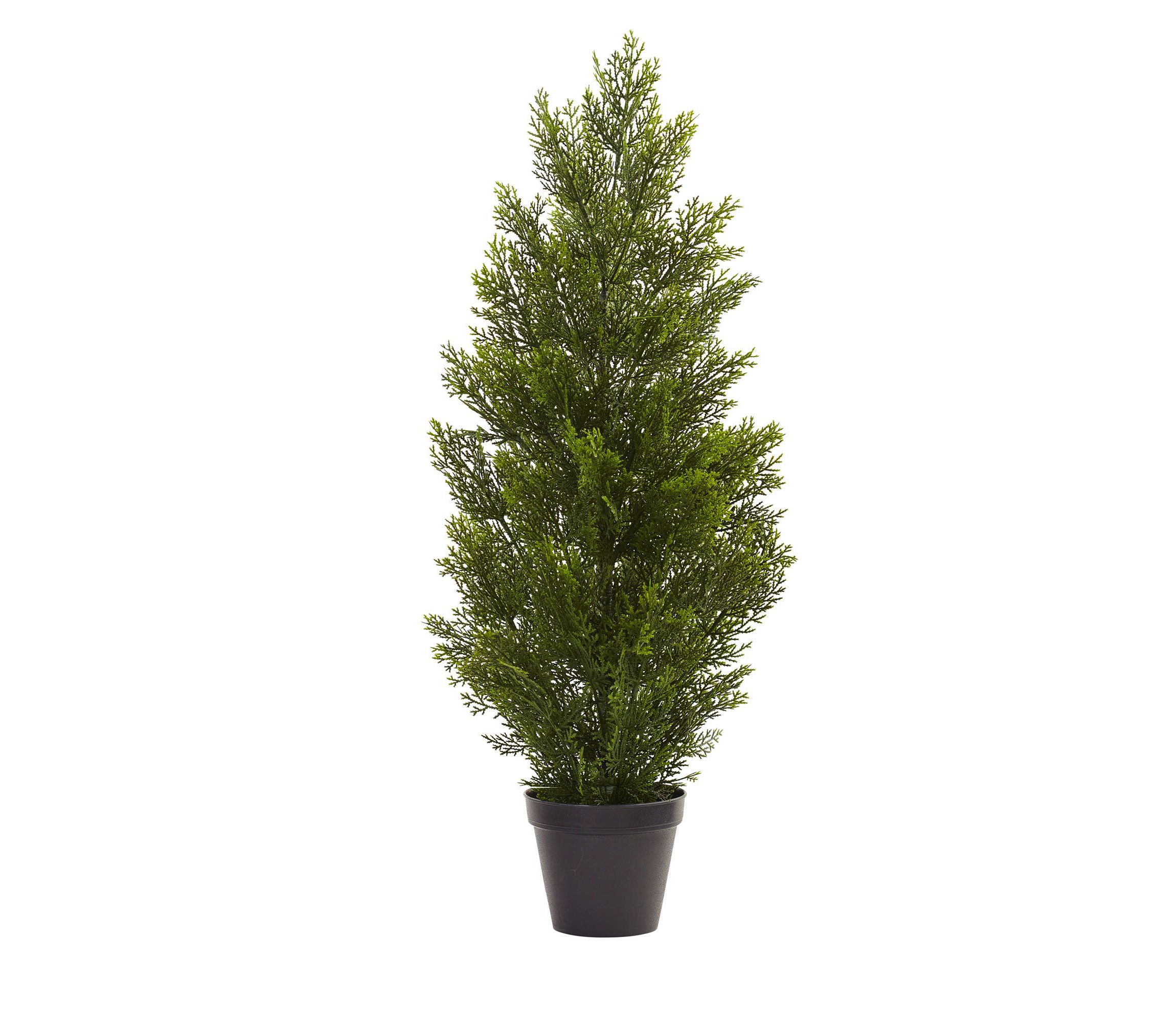 3-Foot Mini Cedar Pine Tree (Indoor/Outdoor)