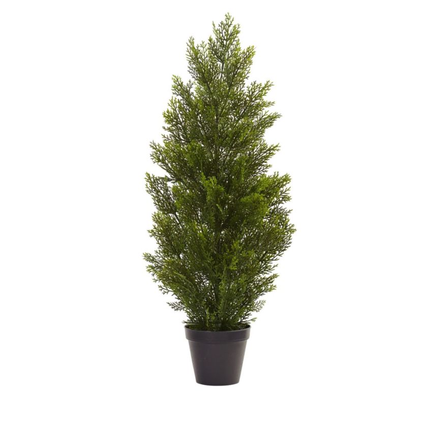 3-Foot Mini Cedar Pine Tree (Indoor/Outdoor)