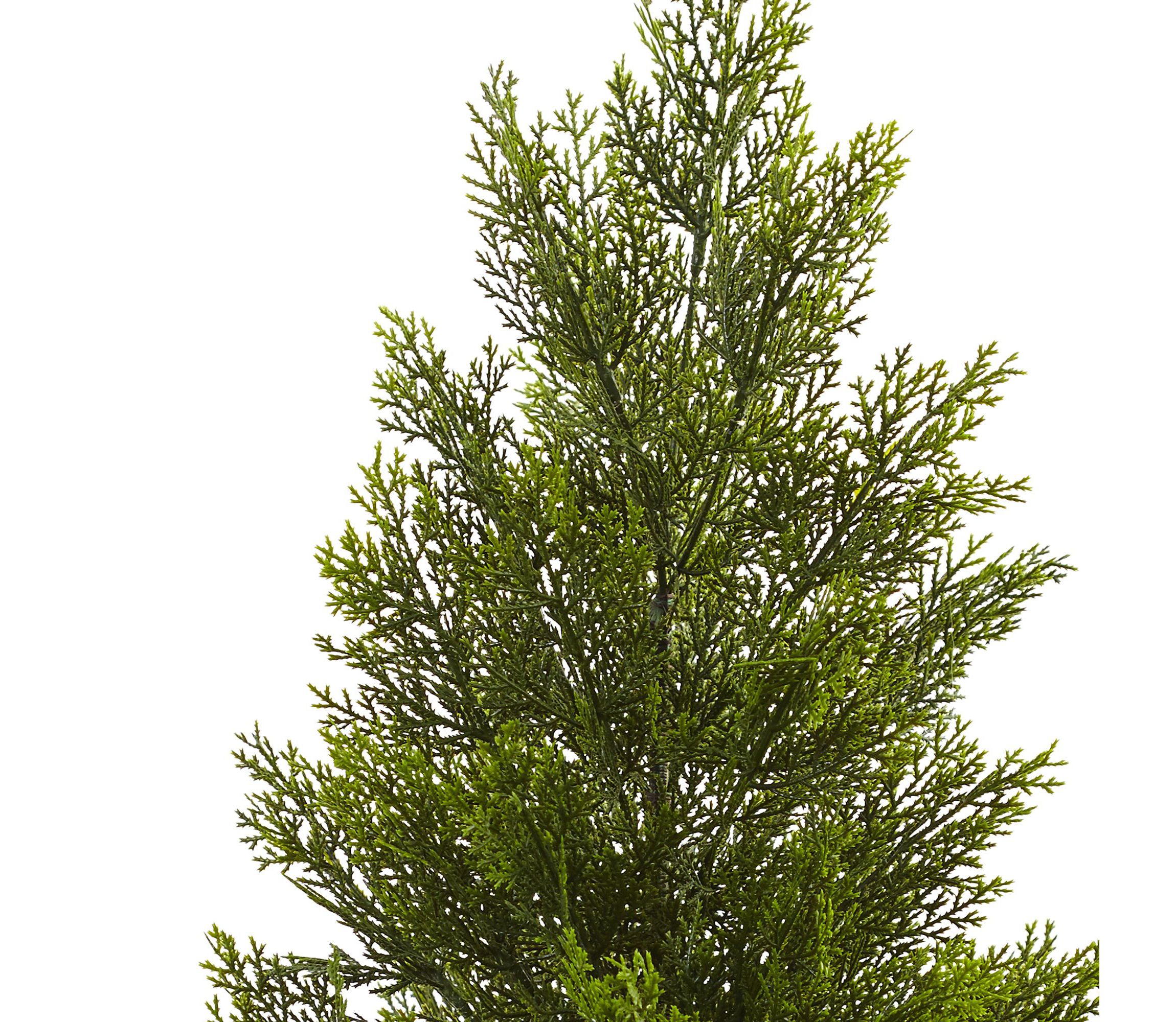 3-Foot Mini Cedar Pine Tree (Indoor/Outdoor)