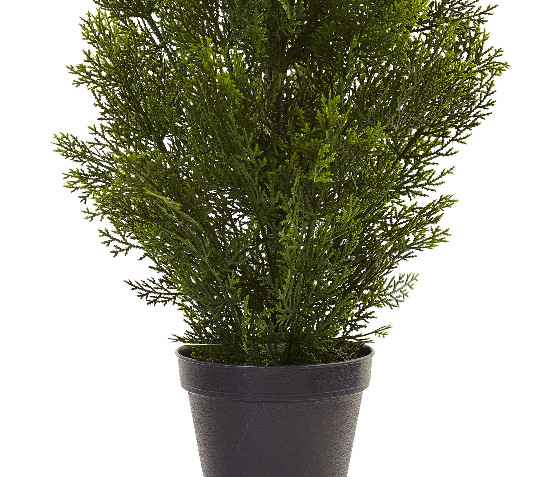 3-Foot Mini Cedar Pine Tree (Indoor/Outdoor)