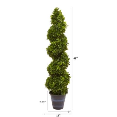 Boxwood Spiral Topiary with Planter (Indoor/Outdoor)