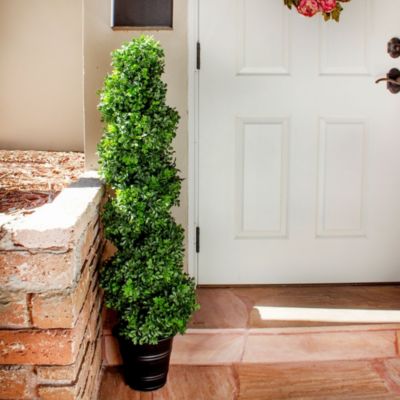 Boxwood Spiral Topiary with Planter (Indoor/Outdoor)