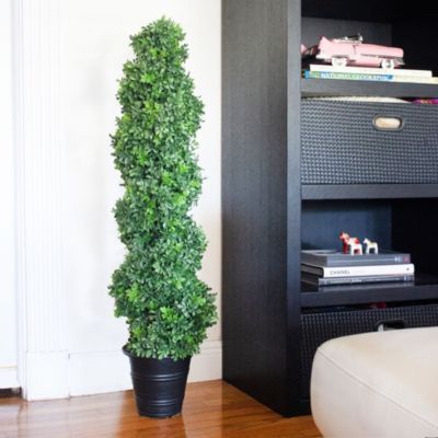 Boxwood Spiral Topiary with Planter (Indoor/Outdoor)