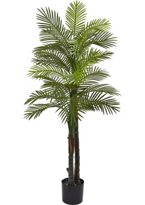 Nearly Natural Double Robellini Palm Tree Indoor/Outdoor, Green