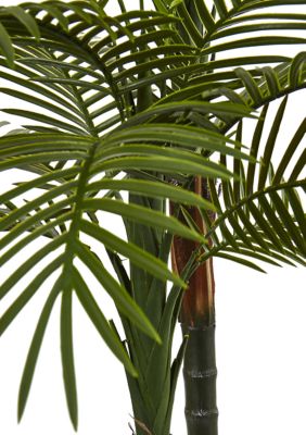 Double Robellini Palm Tree Indoor/Outdoor