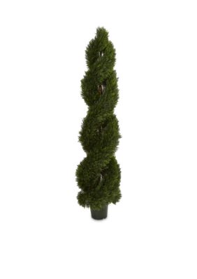 Double Pond Cypress Spiral Topiary (Indoor/Outdoor) 