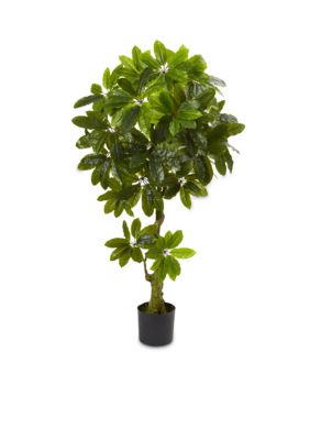Schefflera Artificial Tree (Indoor/Outdoor)