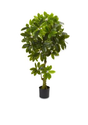Nearly Natural Schefflera Artificial Tree (Indoor/Outdoor)
