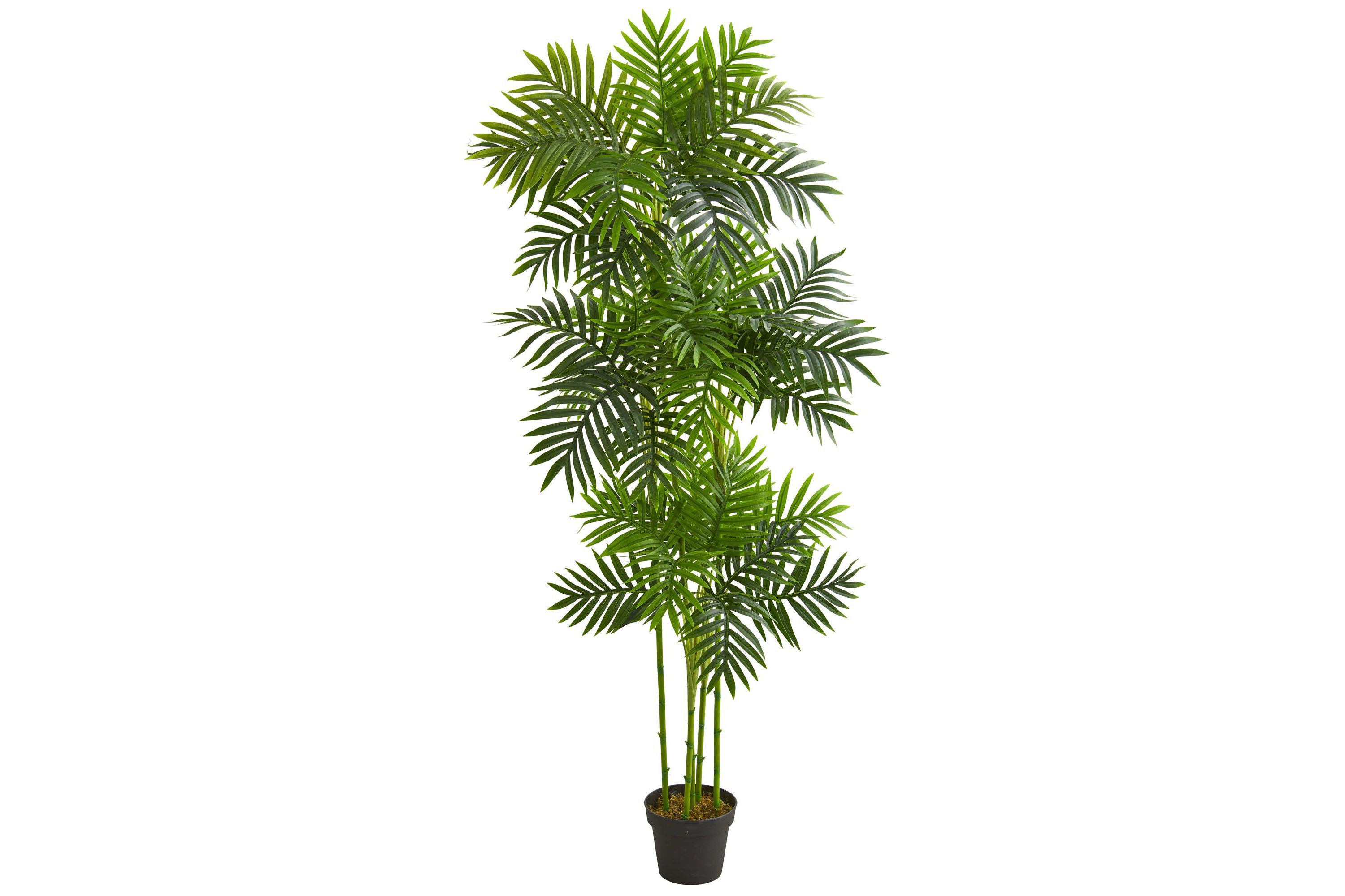6-Foot Phoenix Palm Artificial Tree