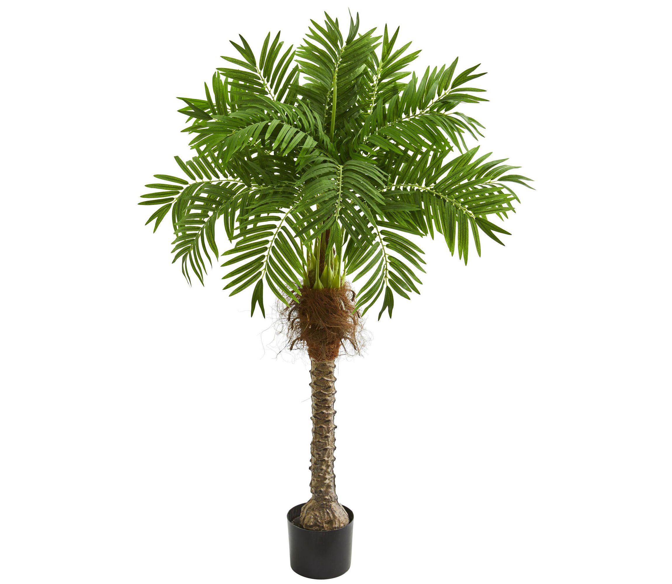 58-Inch Robellini Palm Artificial Tree