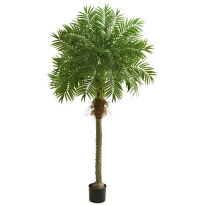 80-Inch Robellini Palm Artificial Tree