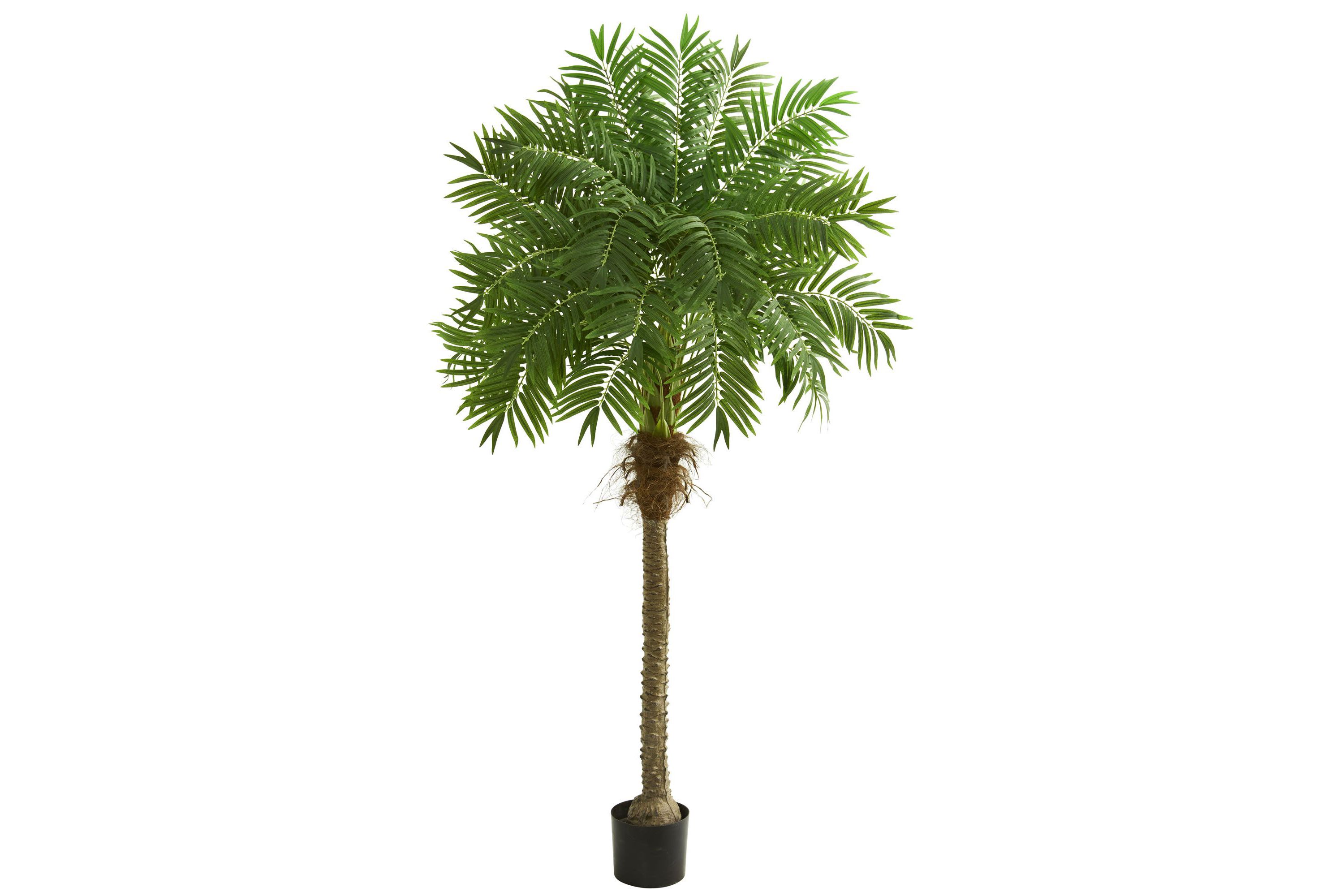 80-Inch Robellini Palm Artificial Tree