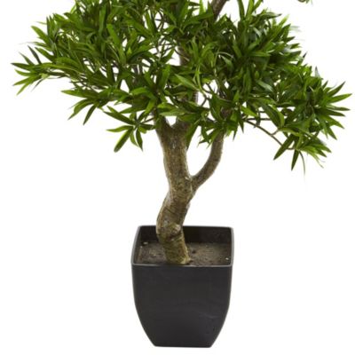 37-Inch Bonsai Styled Podocarpus Artificial Tree