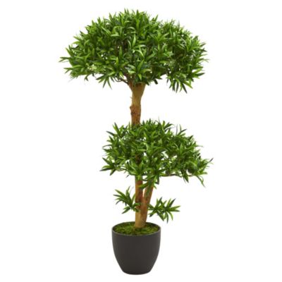 3-Foot Bonsai Styled Podocarpus Artificial Tree