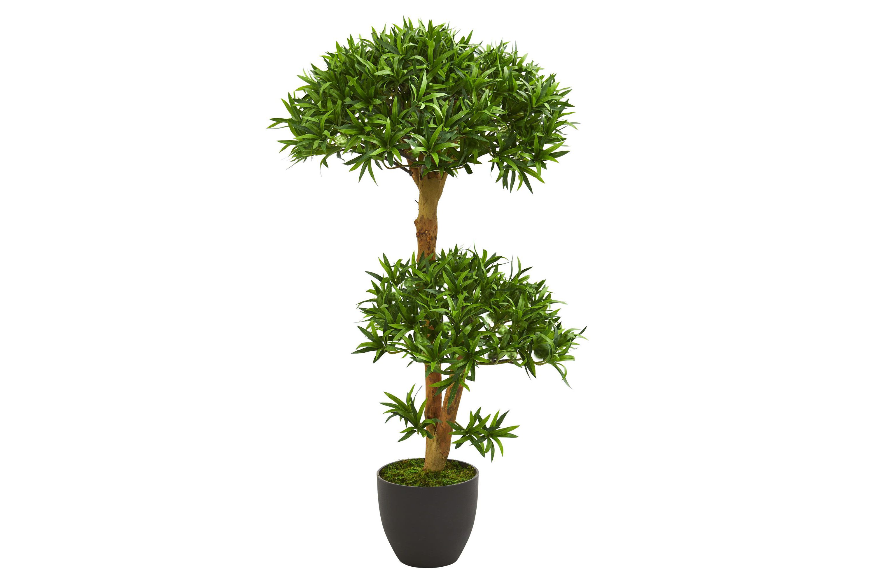 3-Foot Bonsai Styled Podocarpus Artificial Tree