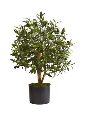 Nearly Natural 29 Inch Olive Artificial Tree, Green